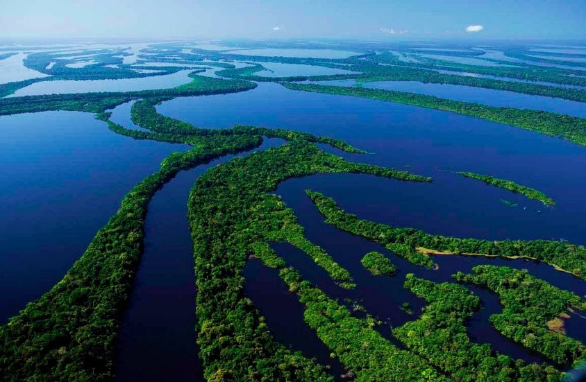 Anavilhanas National Park
